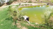 Presa Los Parga