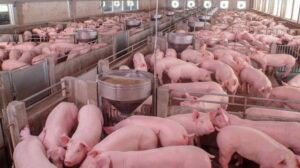 Producción industrial