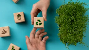 Suiza lidera la revolución circular