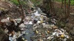 Protección del patrimonio natural: Profepa consolida más de mil resoluciones contra delitos ecológicos en el territorio nacional 5 Protección del patrimonio natural