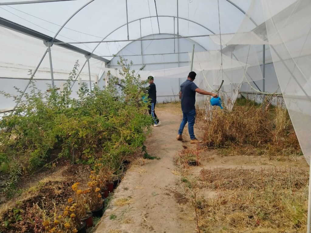 Proyectos Universitarios