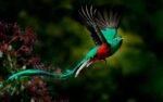 BIODIVERSIDAD