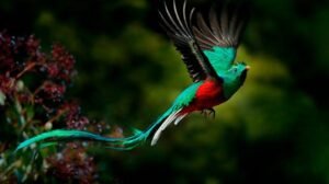 BIODIVERSIDAD