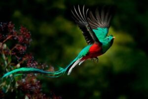 BIODIVERSIDAD