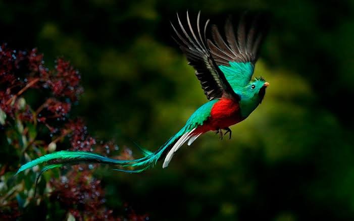 BIODIVERSIDAD