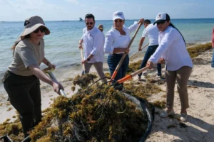 Quintana Roo 1