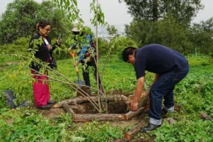 Reforestacion 1