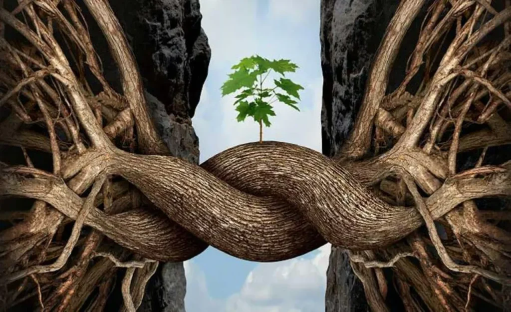 Resiliencia ecológica: cómo se mide la capacidad real de recuperación de los ecosistemas 10 Resiliencia ecologica 2