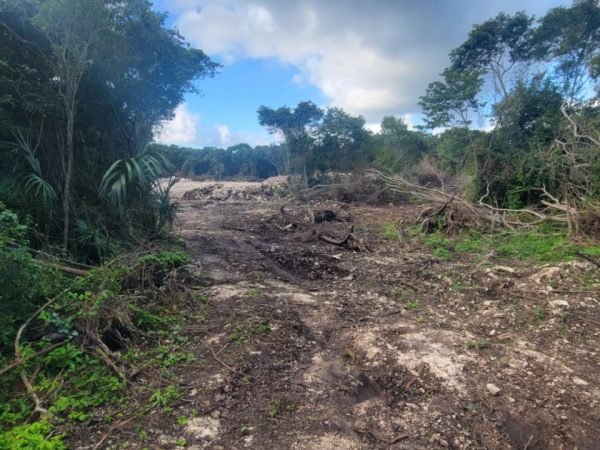 Royal Caribbean inicia demoliciones en Mahahual sin autorización ambiental 10 Royal Caribbean