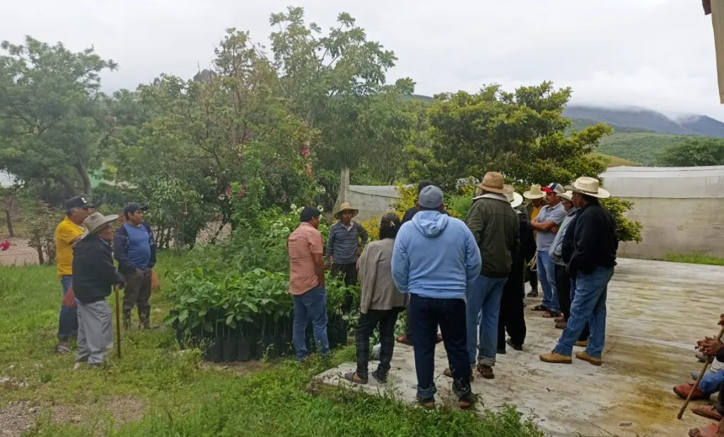 Las acciones que está tomando SEMAREN en el cuidado de la biodiversidad en la Montaña de Guerrero 10 SEMAREN
