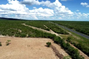 Salinas Victoria