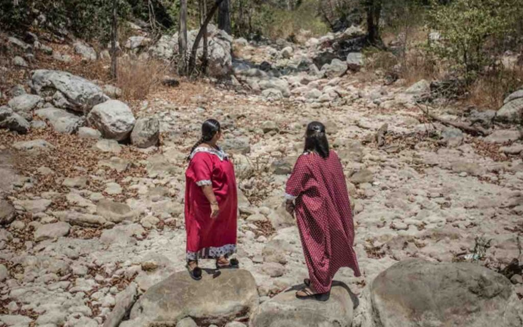 Sembradoras de esperanza