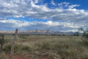 Sierra de Saguaro