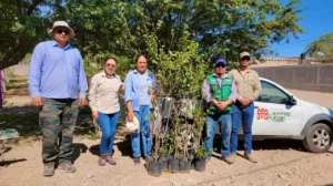 Sierra y Cañón de Jimulco