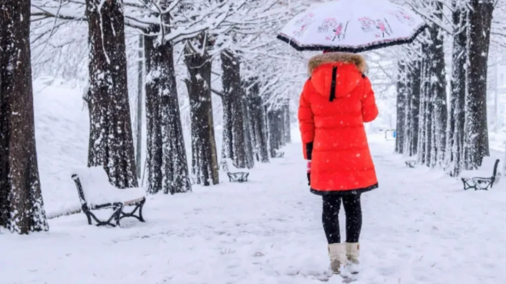 Solsticio de invierno: un espejo entre el cosmos, la historia y el desafío climático 10 Solsticio de invierno