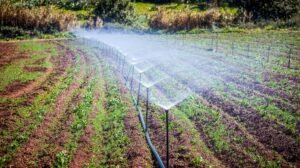 Startups verdes crecen en el ecosistema emprendedor mexicano