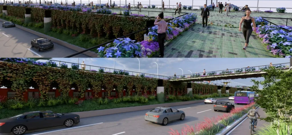 Infraestructura vs medio ambiente: el dilema de la calzada flotante en Tlalpan 10 Tlalpan 2