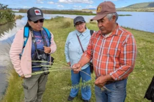Tlaxco