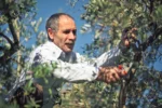 UNESCO