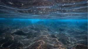 Una alteración marina rompe patrones históricos y preocupa a la comunidad científica