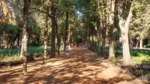 VIVEROS COYOACAN