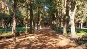 VIVEROS COYOACAN