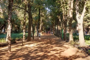 VIVEROS COYOACAN
