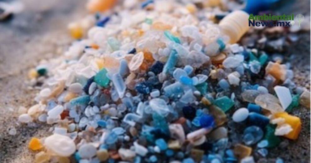 Contaminación por plásticos: una amenaza invisible que ya impacta en todo el planeta 10 WEB AN 10