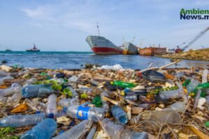 Alerta global: Residuos plásticos podrían triplicarse para 2060, mientras Ginebra busca un tratado vinculante