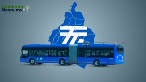 Trolebús Mexiquense: el impulso verde que transforma la movilidad del oriente