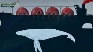 Justicia ambiental para la biodiversidad del Golfo de California