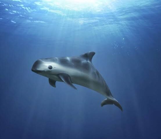 WhatsApp Image 2021 07 17 at 18.53.36 1 554x480 1