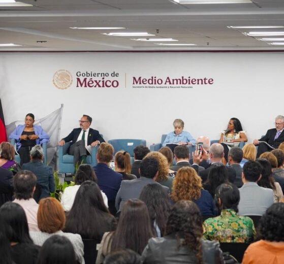 Alicia Bárcena presenta plan ambiental