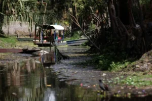 Xochimilco