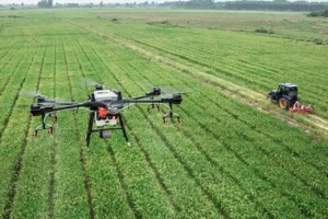 agricultura mexicana