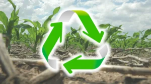 agricultura regenerativa