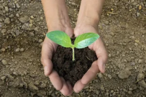  agroecología 