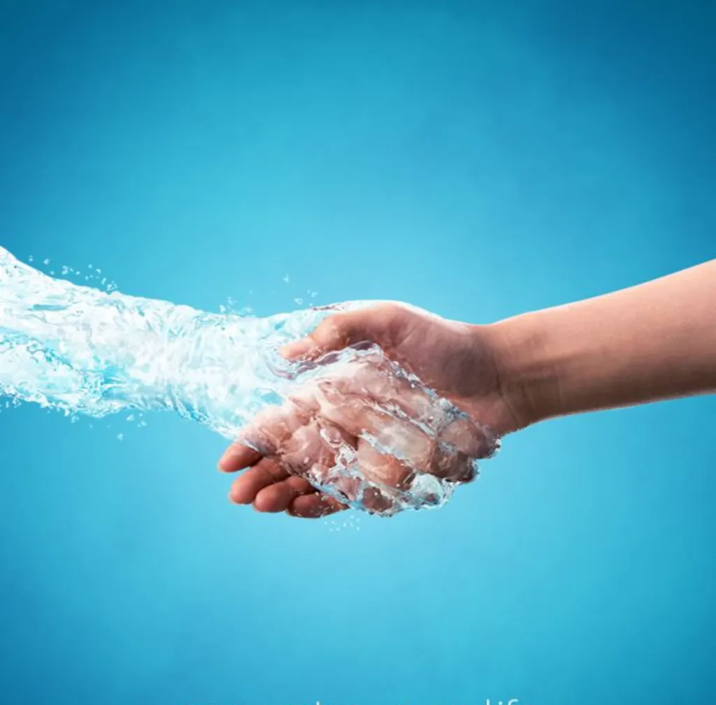 El agua como sistema vivo que conecta toda existencia 11 agua