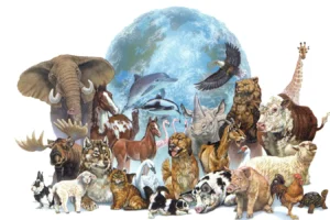 animales