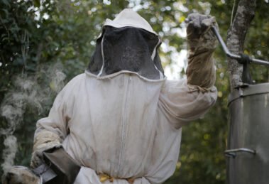 Abejas en resistencia: las voces mayas que defienden la apicultura 13 apicultores
