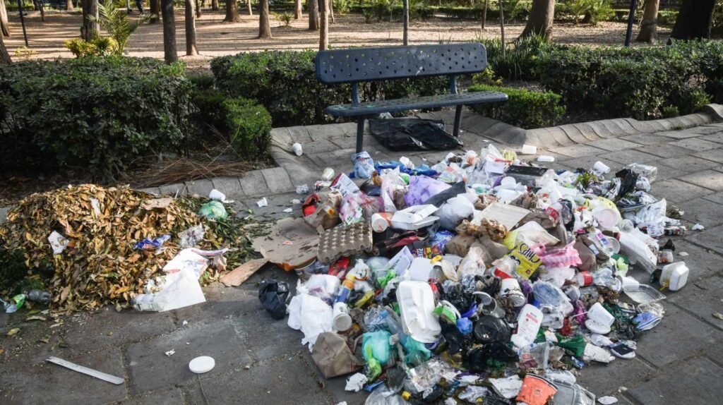 Adiós a la basura en la calle: Impulsan ley que obliga a la separación de basura en la CDMX 10 basura