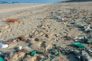 basura