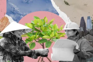 cambio climático