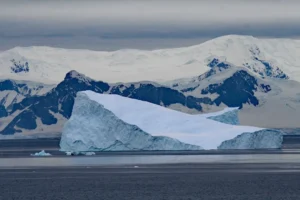 Iceberg flotante en aguas frías