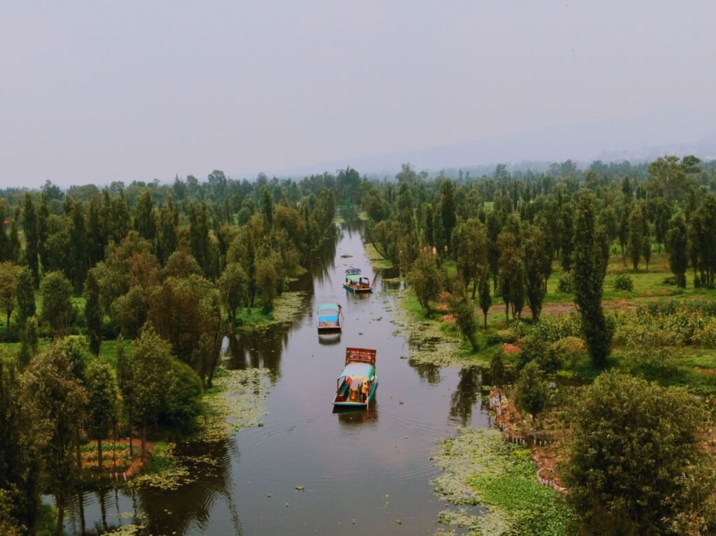 canales de Xochimilco