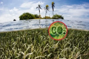 cambio climático