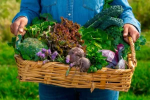 restaurantes sostenibles