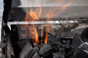combustibles fósiles