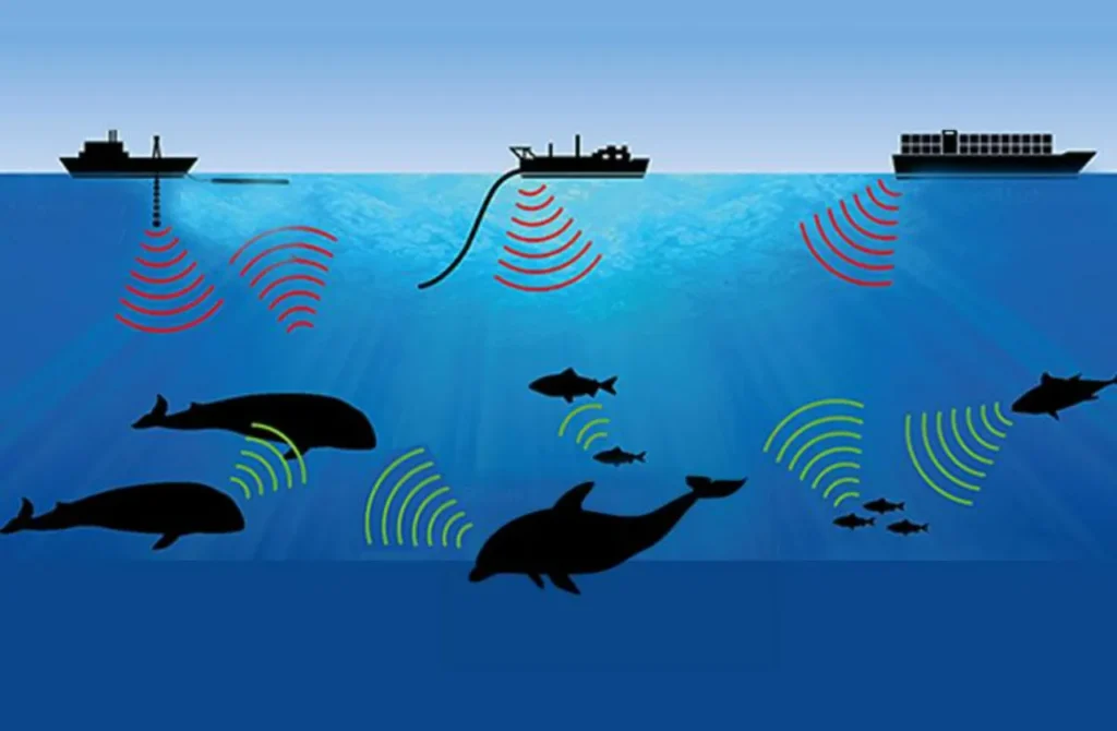 contaminacion acustica 1