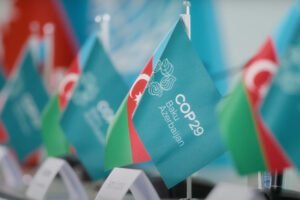  COP29
